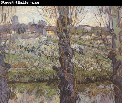 Vincent Van Gogh Orchard in Blossom with View of Arles (nn04)